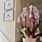 酒店 Maison Bonaparte