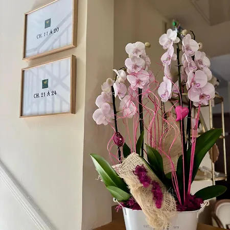 Hotell Maison Bonaparte